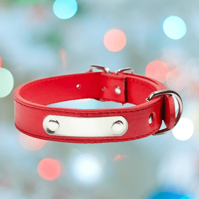Le Collier Cuir Chien | LeatherDogCollar™ en rouge présente une plaque en métal et une quincaillerie de couleur argentée, présentées sur un fond flou avec des lumières bokeh colorées.