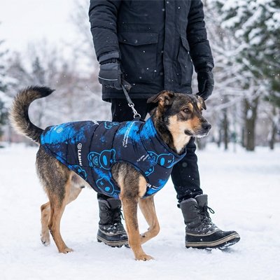 Manteau chien d’hiver bleu et noir porté par un chien en promenade dans la neige, avec son maître en tenue hivernale.
