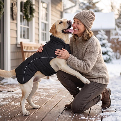 Manteau chien noir d’hiver porté par un chien clair sur un porche enneigé avec son propriétaire.