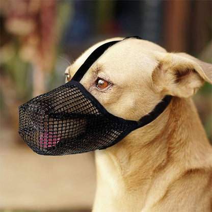 Muselière chien en maille respirante pour confort et contrôle.