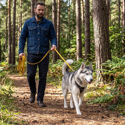 Personne marchant un husky avec une longe pour chien jaune sur un sentier forestier.