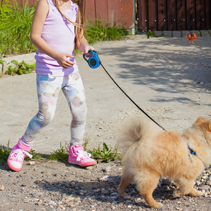 Personne marchant un petit chien avec une laisse pour chien rétractable.