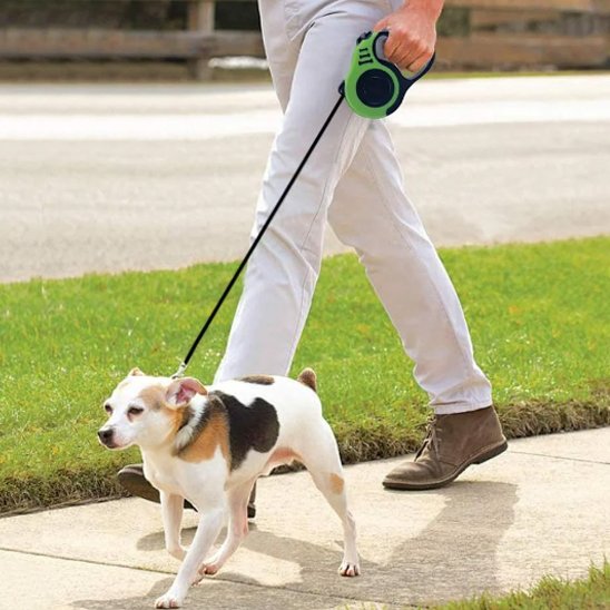 Personne marchant un petit chien avec une laisse pour chien verte sur un trottoir.