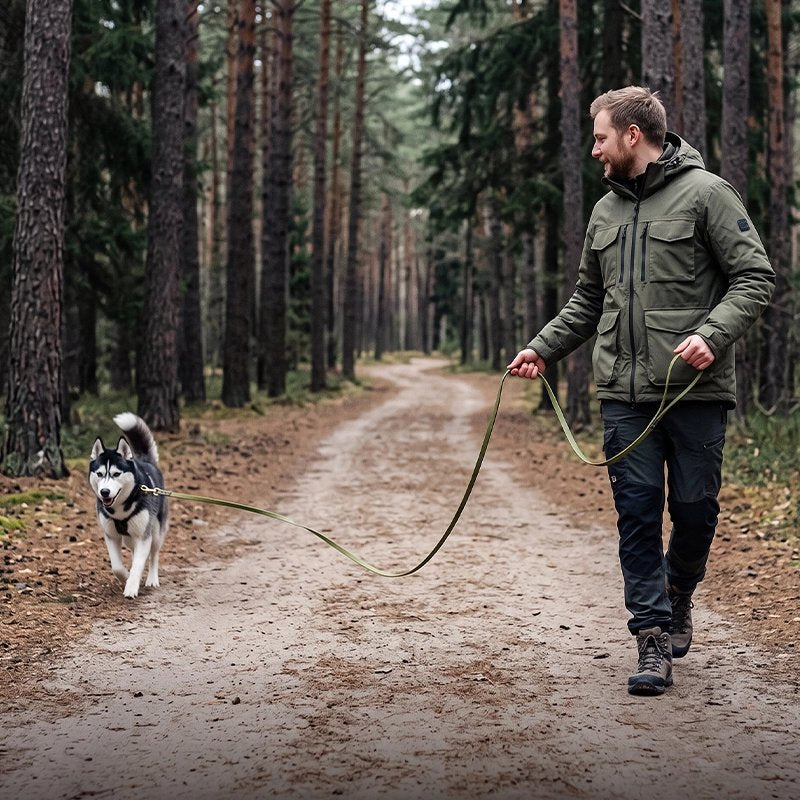 Personne tenant une longe pour chien verte attachée à un husky sur un chemin forestier.