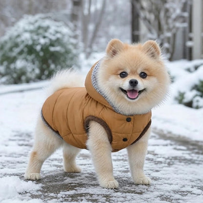 Pomeranian portant un manteau pour chien brun matelassé avec capuche sur un chemin enneigé.