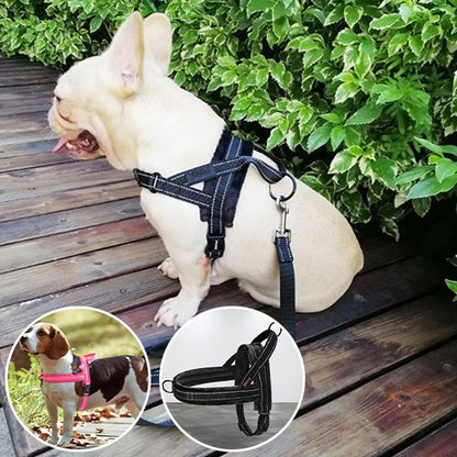 Un bouledogue français de couleur claire portant le Harnais pour chien | SimpleConfort en noir est assis sur une terrasse en bois avec des buissons verts. Les images en médaillon montrent un Beagle dans la version rose et un gros plan du harnais noir.