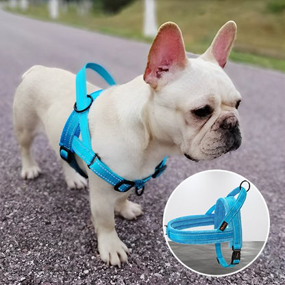 Un bouledogue français de couleur claire porte le Harnais pour chien SimpleConfort en bleu vif alors qu'il se tient sur un chemin extérieur pavé. L'encart en bas à droite montre un gros plan du harnais sur un fond uni.