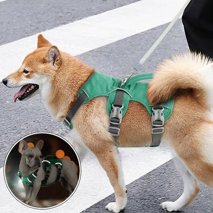 Un Shiba Inu portant le Harnais pour chien | TriSecure en vert traverse un passage pour piétons. Encadré : un petit bouledogue français, également vêtu du Harnais pour chien | TriSecure vert, est assis à l'intérieur, avec des lumières floues derrière lui.