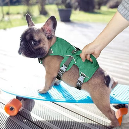 Un petit chiot bouledogue français portant un Harnais pour chien TriSecure se tient sur une planche à roulettes bleue en plein air, tandis qu'une personne tient doucement son harnais par une journée ensoleillée.