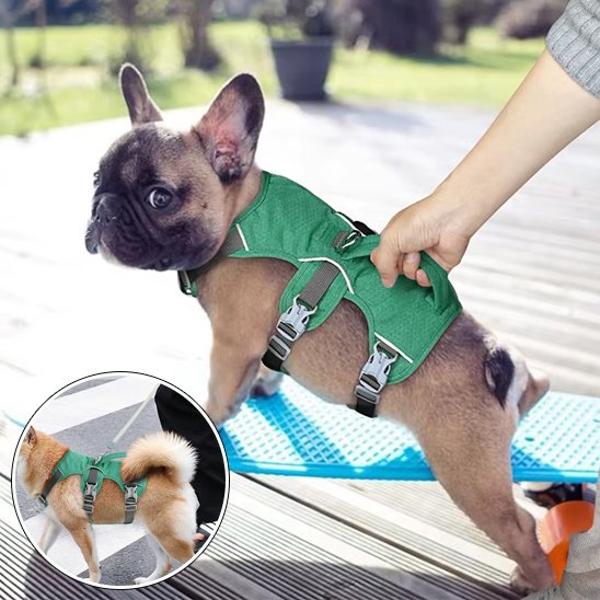Un petit bouledogue français brun portant un Harnais pour chien | TriSecure est délicatement tenu par la main d'une personne. Un médaillon montre un autre petit chien de dos, portant également le Harnais pour chien | TriSecure, debout sur un trottoir.