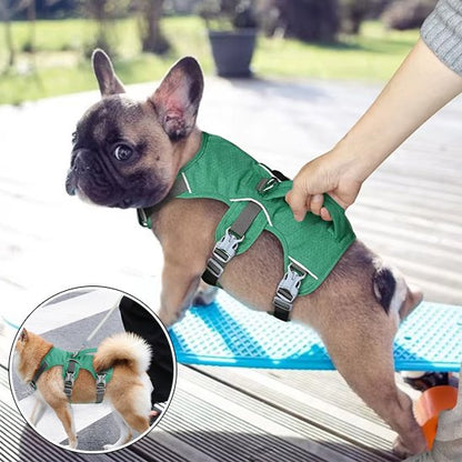 Un petit bouledogue français brun portant un Harnais pour chien | TriSecure est délicatement tenu par la main d'une personne. Un médaillon montre un autre petit chien de dos, portant également le Harnais pour chien | TriSecure, debout sur un trottoir.