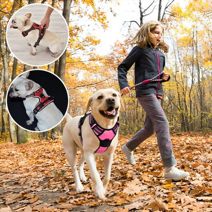 Une jeune fille fait du jogging dans les feuilles d'automne avec un joyeux chien jaune en laisse. Deux encarts circulaires montrent un petit chien blanc portant le harnais rouge Harnais pour chien | DuoGrip sous différents angles.
