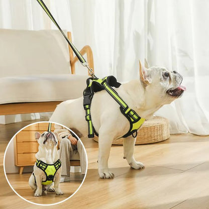 Un bouledogue français blanc modèle le Harnais pour chien | DuoGrip jaune avec la laisse assortie sur un sol en bois ; un encart montre le chien assis et regardant vers le haut.