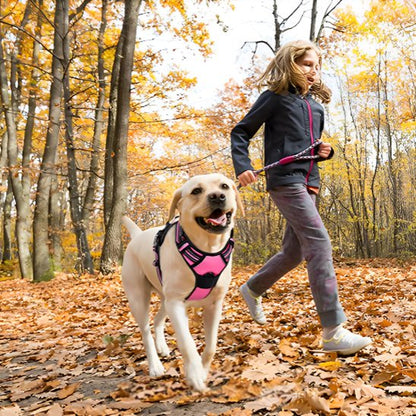 Une jeune fille fait du jogging dans une forêt d'automne couverte de feuilles, tenant une laisse attachée à un joyeux Labrador jaune portant le DuoGrip Harnais pour chien.