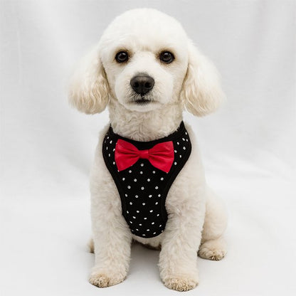 Un petit caniche blanc est assis sur un fond blanc, portant le Harnais Petit Chien | MiniGlam - un harnais noir avec des pois blancs et un nœud papillon rouge - et regardant directement la caméra.