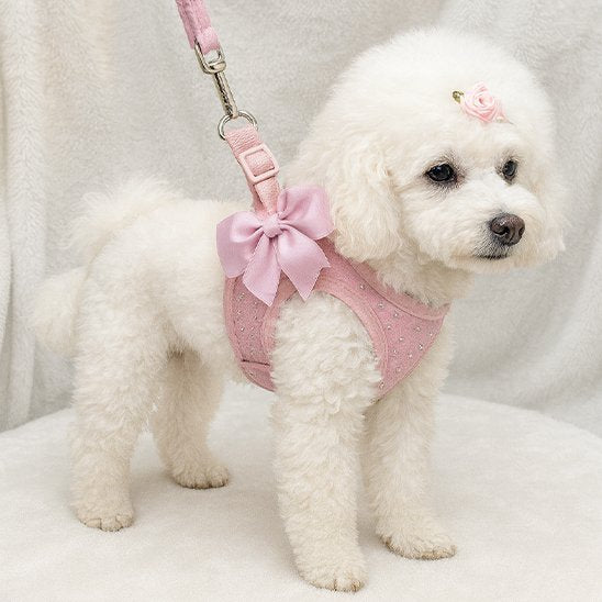 Un chien blanc duveteux porte le Harnais Petit Chien | MiniGlam - un harnais rose avec un gros nœud, une laisse rose assortie et une pince à fleur rose - tout en se tenant debout sur une surface blanche.