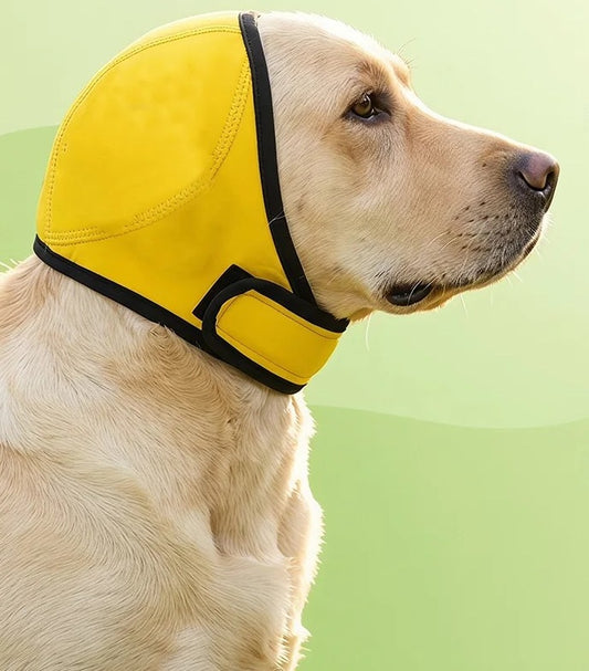 capuche imperméable