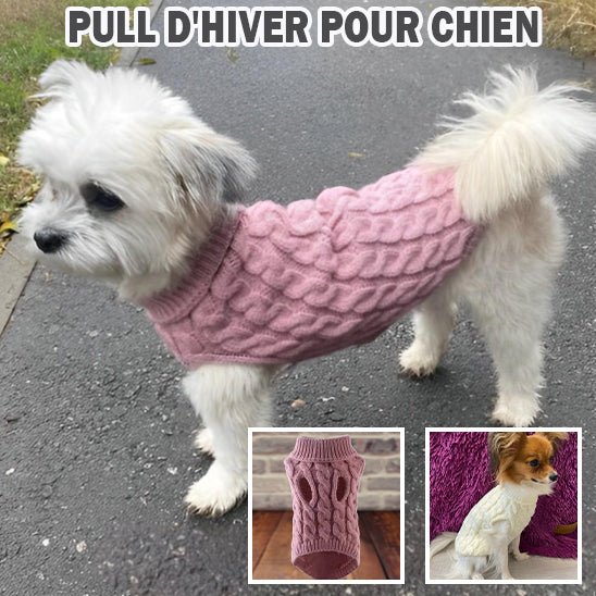 Un petit chien blanc porte un pull Pull chien chaud et élégant | Tricot Toutou rose sur un chemin pavé. Les encarts montrent des gros plans de pulls similaires et un autre petit chien dans une version crème. Texte : PULL DHIVER POUR CHIEN.
