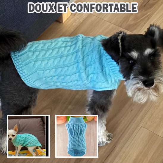 Un petit chien au pelage foncé porte le Pull chien chaud et élégant | Tricot Toutou, un pull tricoté bleu clair. Au-dessus, un texte en gras indique DOUX ET CONFORTABLE. Deux encarts montrent d'autres petits chiens et un pull en gros plan.