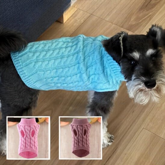 Un petit chien noir et gris porte le pull Pull chien chaud et élégant | Tricot Toutou en bleu sur un plancher en bois. Des images en médaillon montrent ce modèle de pull en tricot douillet en rose et en marron également.